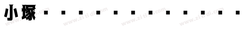 小塚ゴシック Pr6N R字体转换